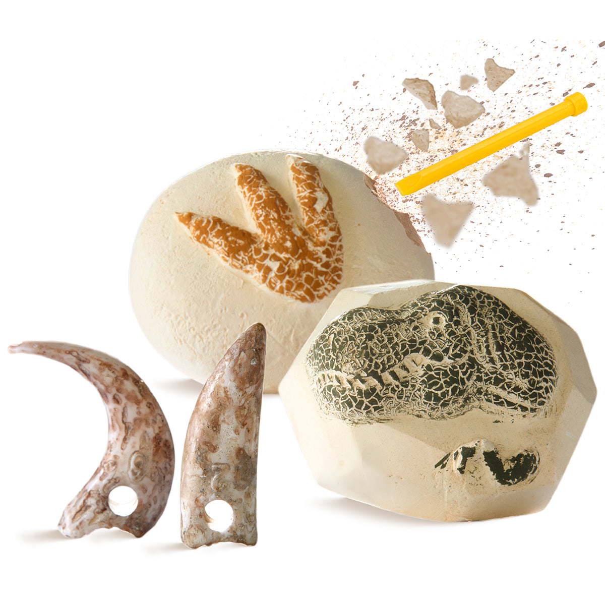 Discovery Toy Excavation Kit Dino 2pc - Image 14