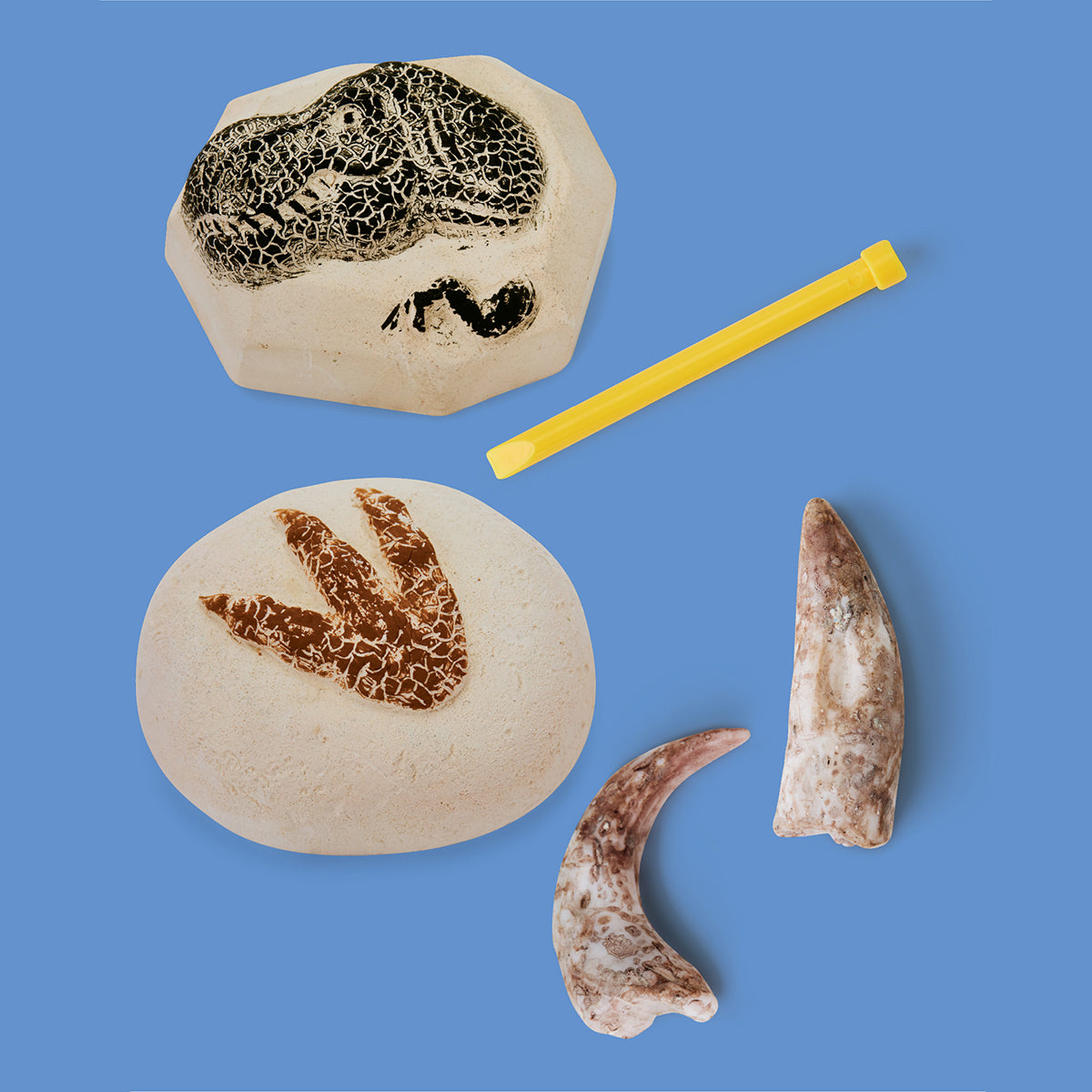 Discovery Toy Excavation Kit Dino 2pc - Image 12